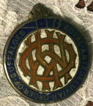 Vintage Royal Antedeluvian Order Of Buffaloes Medallion Pin/button Raob Antique