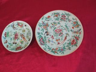 Two Antique Chinese Celadon Hand Painted Plate - Bird,  Butterflies,  Roses