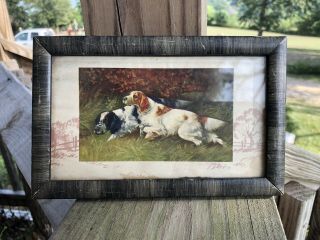Darling Very Small Vintage Antique Framed Dog Picture