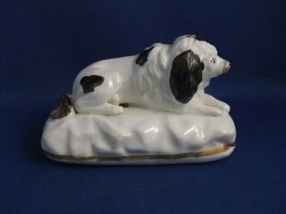 ANTIQUE 19THC SAMUEL ALCOCK STAFFORDSHIRE POTTERY FIGURE OF A POODLE DOG C1835 2