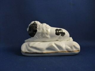 ANTIQUE 19THC SAMUEL ALCOCK STAFFORDSHIRE POTTERY FIGURE OF A POODLE DOG C1835 4