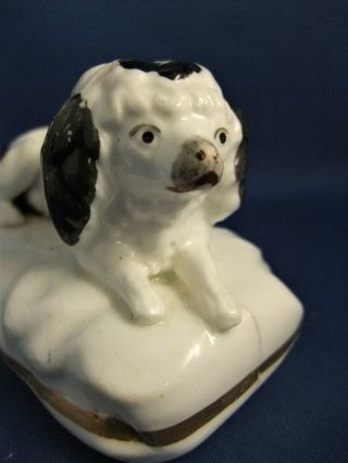 ANTIQUE 19THC SAMUEL ALCOCK STAFFORDSHIRE POTTERY FIGURE OF A POODLE DOG C1835 7