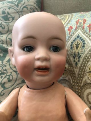 Vintage Antique 16 “head Baby Porcelain Bisque Head