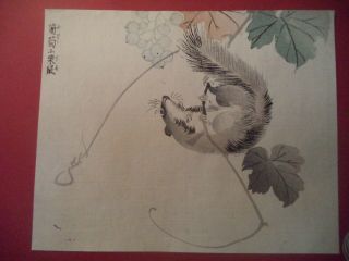 Antique Japanese Woodblock Print:squirrel Climbing On Grape Vine Nature