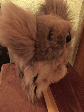 Vintage Real Fur AUSTRALIAN KOALA BEAR Stuffed Animal Plush Toy 5 1/2 