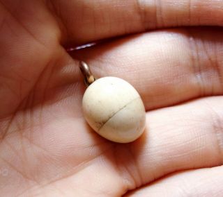 Small Antique Carved Bone Egg Shaped Pendant Or Charm Opens