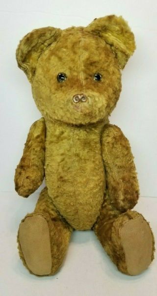 Antique Vintage 16 " Mohair Teddy Bear W/ Squeaker Growler Steiff? Chad Valley?