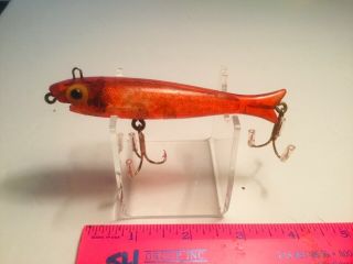 Pico Mullet,  Red Color With White Spots On Sides Very Tough To Find