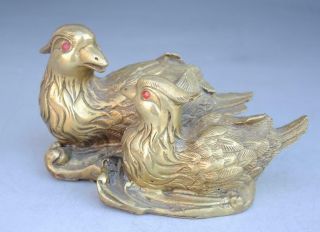 Chinese Old Hand Engraving Copper Fengshui Two Mandarin Duck Bird Statue E01