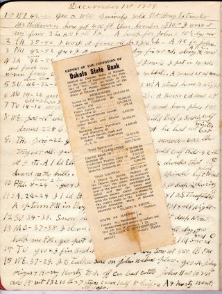 11 Handwritten Diaries Yarger Family Lancaster Illinois Births Deaths 1907 - 1948 7