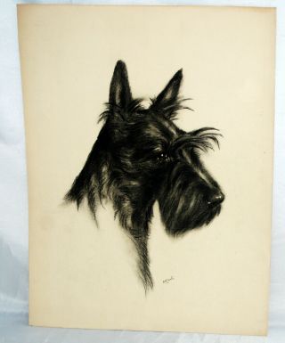 Vintage Charcoal Sketch Dog Scottie Scottish Terrier Signed By Artist Rf Gaulis