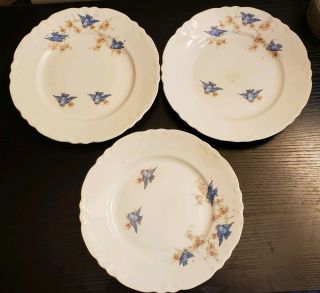 Antique 9 " Blue Bird China Dinner Plates By Home Laughlin (usa Made,  E5n)
