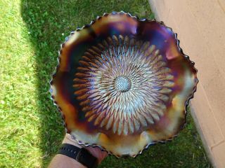 Antique Northwood Carnival Glass Sunflower Amethyst Footed Bowl Iridescence