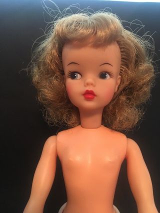 Vintage 1960’s Ideal Tammy Doll,  And Accessories, . 3