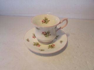 Tea Cup And Saucer Made In England Antique Royal Dover Bone China Pink Rose Buds