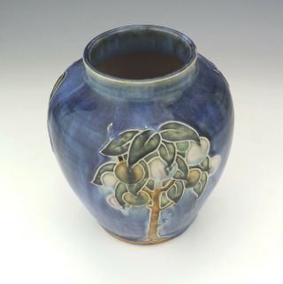Antique Royal Doulton Stoneware - Tree Decorated Vase - Lovely 5