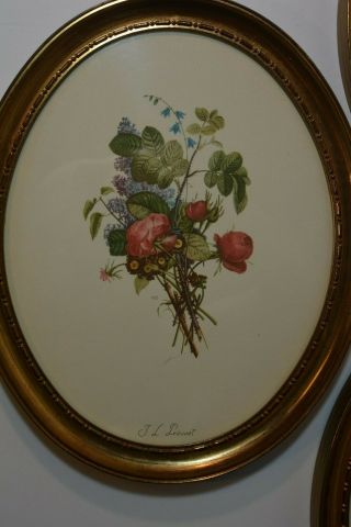 THREE Vintage Signed JL Prevost Botanical Flower Prints Painted Gold Frame 2