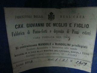 Antique 19th Century Mandolin By Giovanni De Meglio Circa 1894 Napoli Italy 4