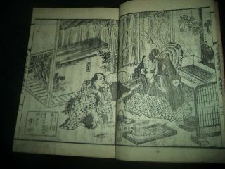 Antique Japanese Woodblock Book YOSHIUME Print Illustrated - Ehon Iwami Eiyu 4