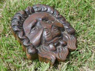 19thc Gothic Oak Carved Lion Head