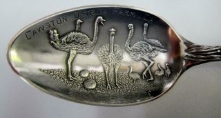 Antique Sterling Souvenir Spoon Indian on Handle,  Cawston Ostrich Farm in Bowl 2