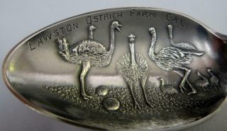 Antique Sterling Souvenir Spoon Indian on Handle,  Cawston Ostrich Farm in Bowl 3