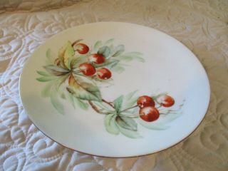 Antique Favorite Bavaria Cherries & Leaves Hand Painted Porcelain 9 " Plate
