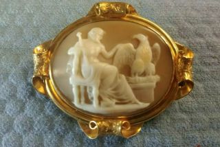 Antique Hand - Carved Shell Cameo Greek God Zeus With Eagle Yellow Gold 14k