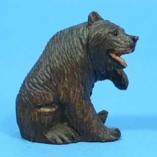 Antique Swiss Black Forest Wood Carving Sitting Bear Brienz C1920