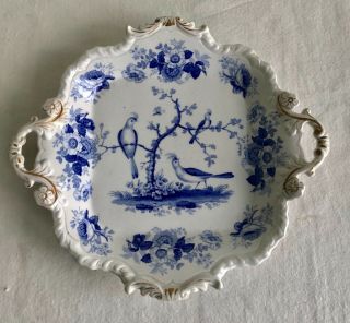 Antique Pottery Pearlware Blue Transfer Dessert Dish Ridgway C1830 Birds
