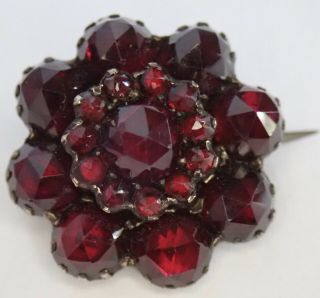 Antique Victorian Bohemian Garnet Flower Pin