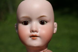 Antique A.  M 390 Bisque Doll Head Armand Marseille Germany