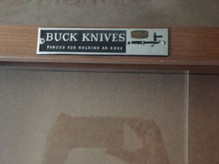 Custom Buck Knives Display Case Couple Small Scratches