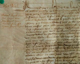 1515 Medieval Large Manuscript Document And Signature On Parchment Skin Rare