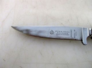 Vintage Puma Solomon Gamekeeper Knife No.  3591 w/ Sheath,  Box, 8