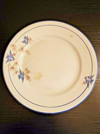 Antique 9.  75 " Blue Bird China Dinner Plate W/ Navy Blue Double Pin Striping
