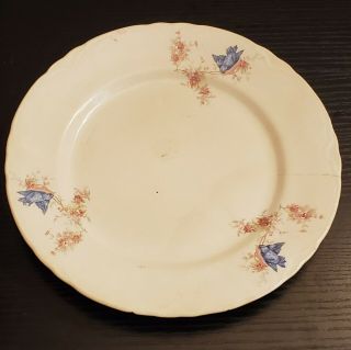 Antique Blue Bird China 9.  25 " Dinner Serving Plate By Clinchfield China 426 Spl