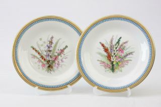 Antique Royal Worcester Plates X 2 With Flowers & Turquoise Borders.  2nd Of 4
