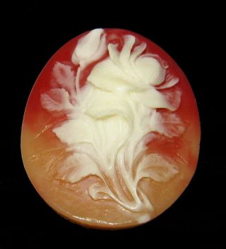 Large Old Antique High Relief Carved Rose Tulip Flowers Bouquet Cameo 40 X 30mm