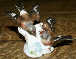 Antique Meissen Porcelain Figurine Two Birds On A Branch 3071