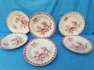 Antique French: Gien Opaque Porcelain,  Circa 1900,  Model With Thistles,  6 Plates 1