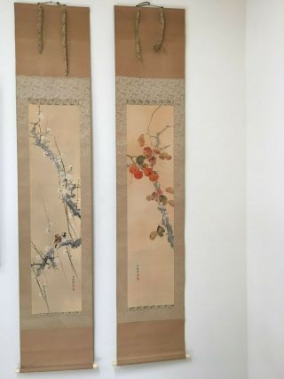 Pair Antique Japanese Fine Art Painting Wall Hanging Scroll Persimmon Tree Birds