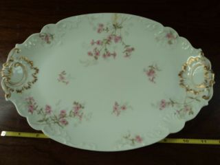 Antique Ch Field Haviland Limoges Open Pink Roses 11 " Serving Tray Oval