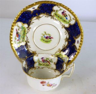 M021 Antique English Coalport Porcelain Tea Cup & Saucer Birds Cobalt Blue Ad
