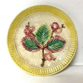 Antique Majolica Plate Decorated W/ Apple Tree Blossom