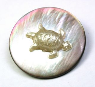 Bb Vintage Iridescent Shell Button W/ Pearl Finish Turtle Escutcheon 1 "