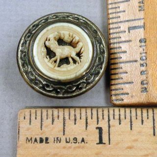 Dog Or Wolf,  Intricately Carved Deer Antler Antique Button Set In Brass,  1800s