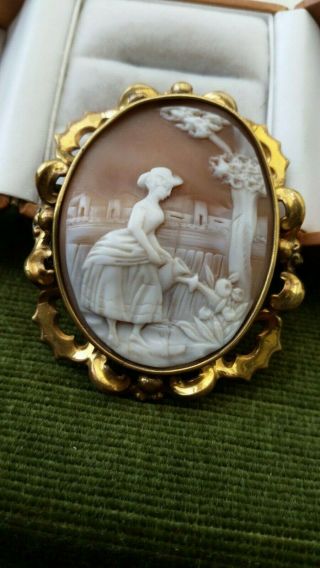 Antique Rolled Gold Carved Cameo Shell Brooch