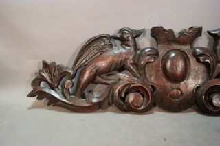 19thC Antique VICTORIAN CARVED Wood WINGED GRIFFIN Old GREEK SPHINX Wall PLAQUE 2