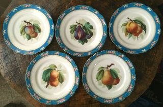 Set Of 5 Antique Handpainted Porcelain Plates Realistic Fruit Floral Botanical